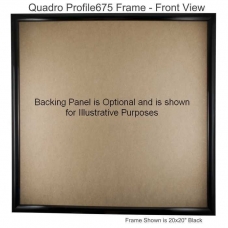 41x41 Profile675 Picture Frame